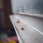 pexels-markus-spiske-131773